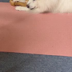まだまだ構ってあげられずの画像