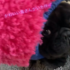 節分の画像