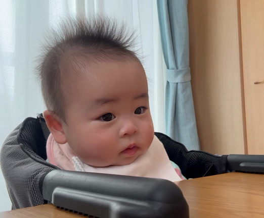 うまれて初めてのいちごの記事動画