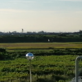 毎週月曜日夕日のお楽しみ、四季島の画像