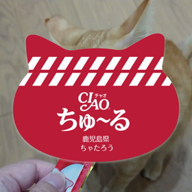 初めての体験…の画像