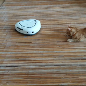 はじめてのロボット掃除機体験☆の画像