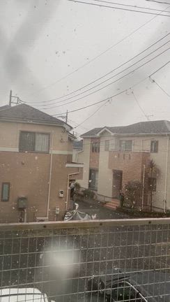 雪の記事動画