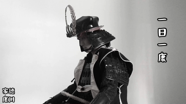 【◆一日一康◆其ノ十】徳川家康の記事動画