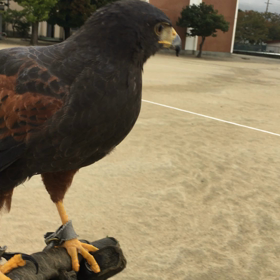 肉色で判断するしか！の画像