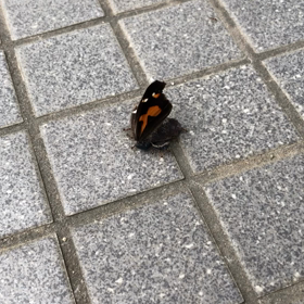 力仕事。の画像