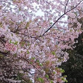 一日はみんな２４時間。の画像