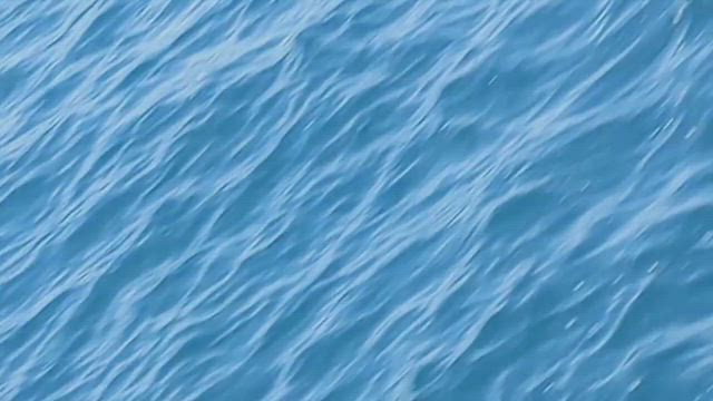 大瀬戸SLGの釣果は？の記事動画