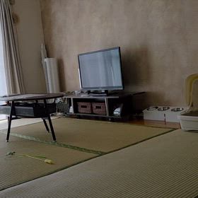 ３本の動画の画像