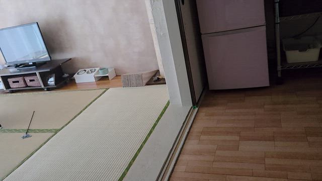 お尻合いの記事動画