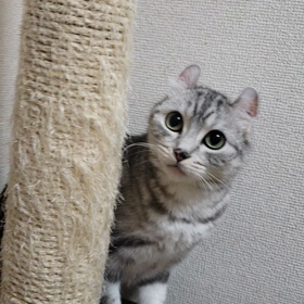 エネルギッシュ！の画像