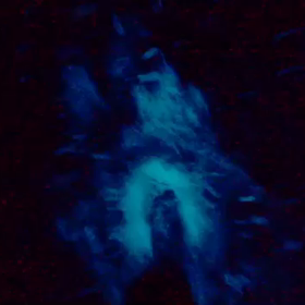 夜光虫の画像