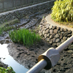 無題（水遊び）の画像