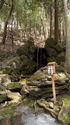 『春分代理参拝 〜ご縁が芽吹く出雲大神宮〜』の記事動画