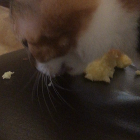 ホットケーキ事件！！！の画像