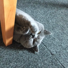 日常の画像