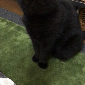 ハンターとしての画像