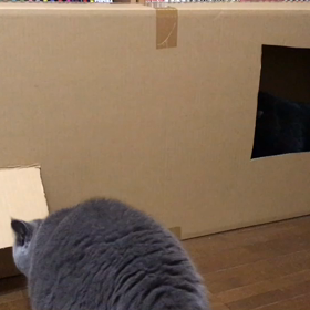 かくれんぼの画像