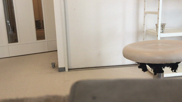 ふじいの日課の記事動画