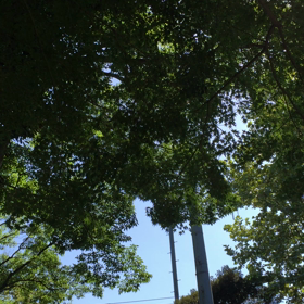 秋の風にの画像