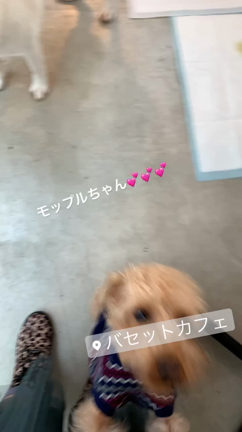 ＊今年最後の lessonは「adagio花あそび倶楽部」でした。の記事動画