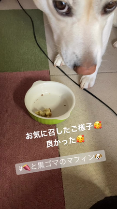 ＊adagioが何故コロナ禍でもレッスンのご予約が変わらないのは。『集客』について①の記事動画