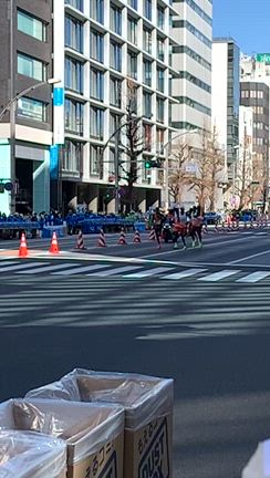 東京マラソン応援(動画あり音量注意)の記事動画