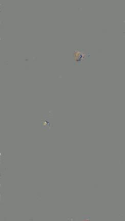 2025年1月8日(水)の営業は17時スタートですの記事動画