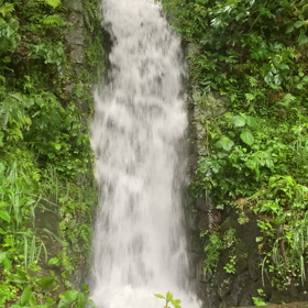 恵の大雨の画像