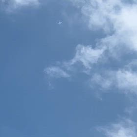 4/6の画像