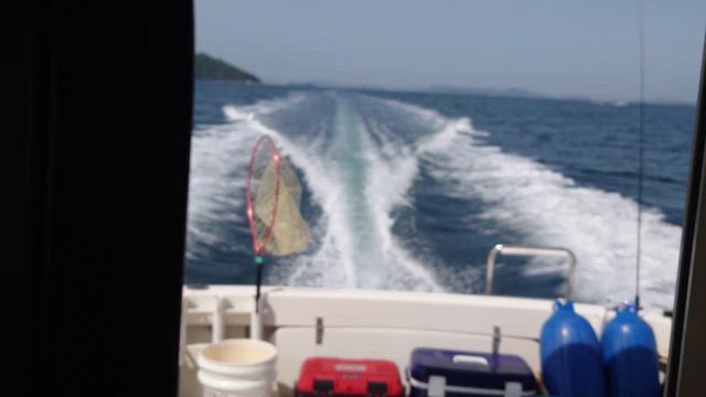 クルージング日和☀️の記事動画