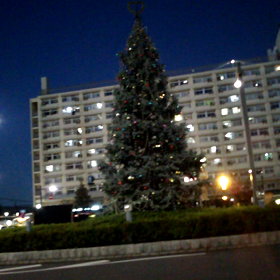 竹の塚の画像