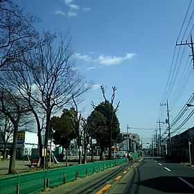 風強い？の画像