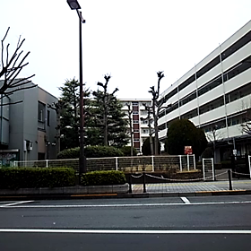 小雪舞うの画像