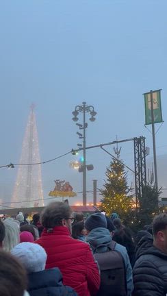 ドイツ　ハンブルクのクリスマスマーケットの記事動画