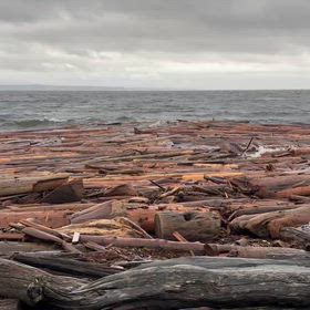 1月11  日　今日の海の画像