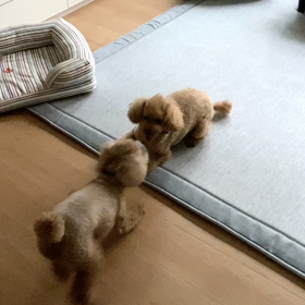 朝からの画像