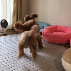 慌てないで !!の画像
