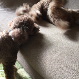 新しい発見!!の画像