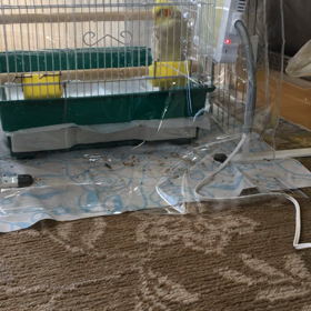 おねんねの画像
