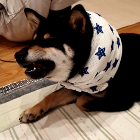 いつのまにかやらなくなった事の画像