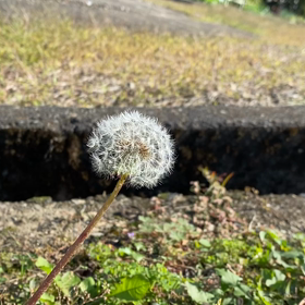 春？の画像