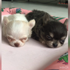 眠る...の画像