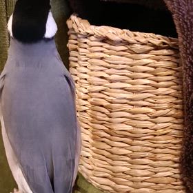 いつぶり？の画像