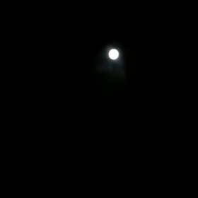 名月の夜にの画像