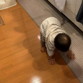 立った！の画像
