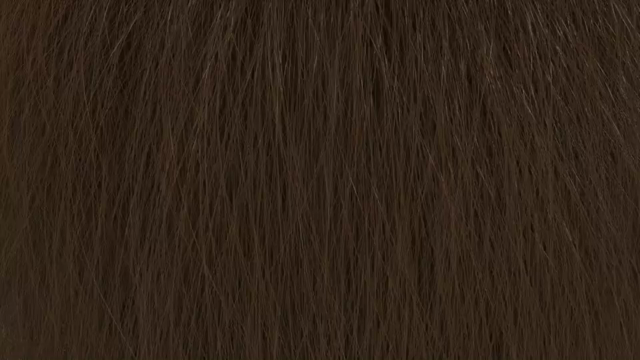 髪の根元はこうなっているの記事動画