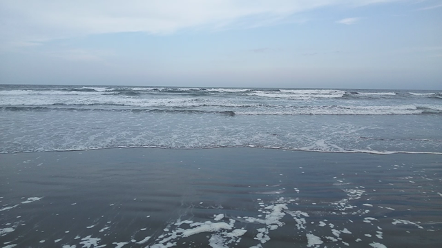 海への記事動画