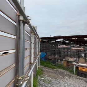 3.26 センターにいた犬たち　78910号室　二頭房　個別房　のサムネイル画像