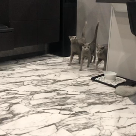 自分のInstagramで1番の閲覧数❗️の画像